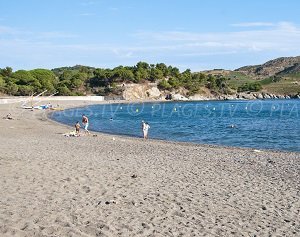 Plage de Paulilles