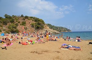 Plage de Bonporteau - Cavalaire-sur-Mer