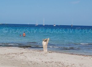 Plage de Barcaggio