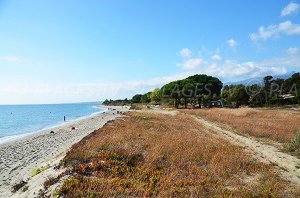 Spiaggia di Talasani - Talasani