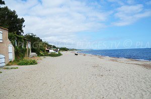 Plage de Prunete