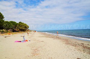 Plage de San Giuliano