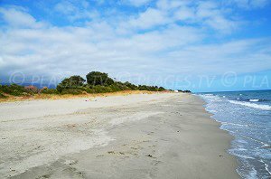 Plage d'Alistro Nord