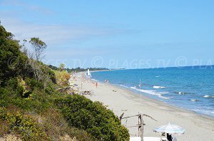 Plage de Bagheera