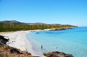 Cala Genovese Beach - Macinaggio