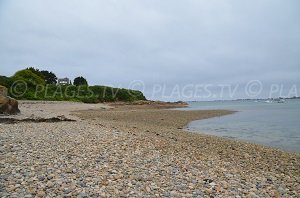 Plage du Port de Castel