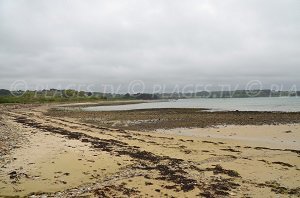 Plage de Raluzet