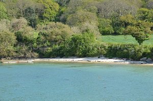 Plage dans l'anse de Pellinec