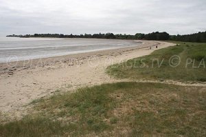 Plage du Palandrin