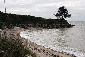 Plage de Halguen