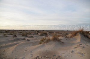 Plage de Beauduc - Salin-de-Giraud