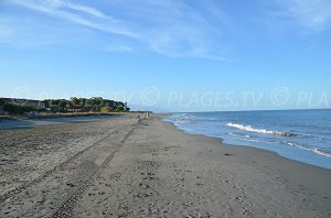 Spiaggia di Pineto - Mariana