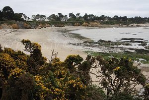 Plage du Lannguy