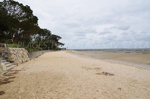 Plage de Taussat - Cassy