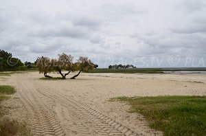 Plage de Suzette