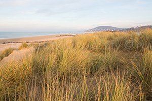 Plage Cap Cabourg - Cabourg