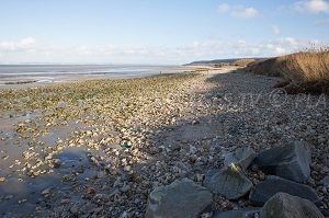 Plage de Cricquebœuf