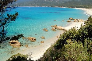 Plage de Cupabia - Serra-di-Ferro