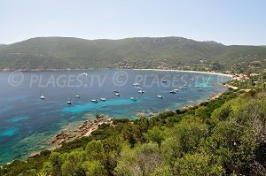 Plage de Campomoro - Belvédère-Campomoro