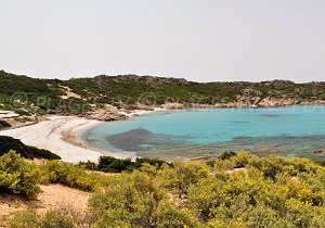 Plage d'Argent - Cala Barbaria - Sartène