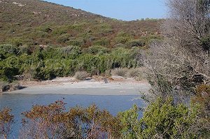 Plage de Malfalcu - Santo-Pietro-di-Tenda