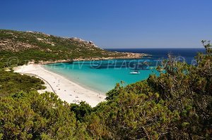 Plage de Roccapina