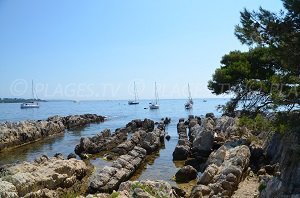 Trinité Cove - Iles de Lérins - St Honorat