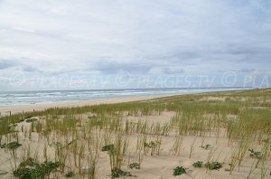 Plage des Dunes