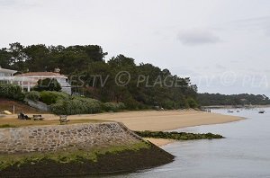 Plage de la Vigne