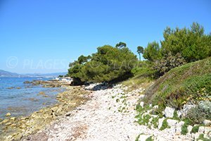 Laoute Beach - Iles de Lérins - Ste Marguerite