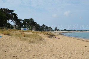 Plage Planginot - La Brée-les-Bains