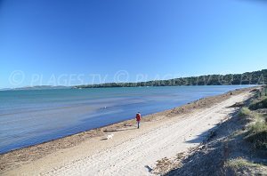 Plage Badine Presqu'ile Giens