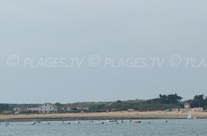 Plage de Perroche - Dolus-d'Oléron