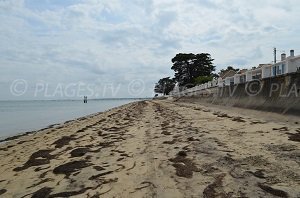 Petite Plage - Saint-Trojan-les-Bains