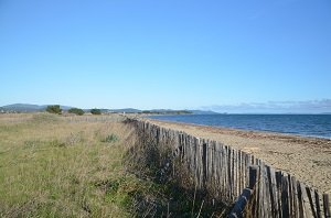 Plage des Salins - Plage du Pentagone