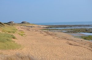 Plage de la Cotinière - Brimaudière