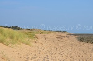 Plage de la Ménounière