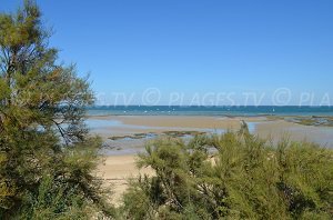 Plage de la Redoute