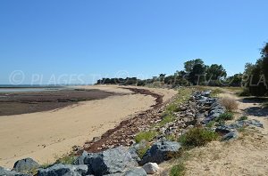 Plage des Cytons