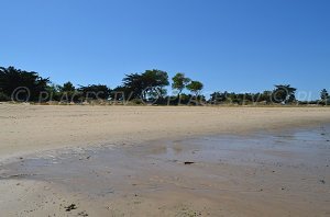 Plage de Lauzin