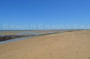 Plage de la Loge - Les Portes-en-Ré