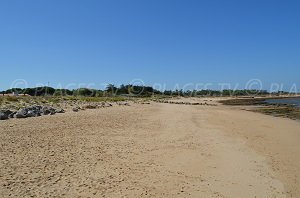 Plage de la Saucière - Les Portes-en-Ré