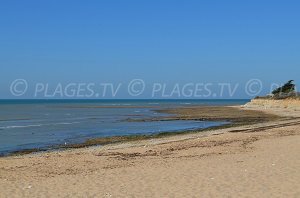 Plage de la Basse Benaie - Sainte-Marie-de-Ré