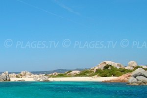 Plage du Port de Cavallo