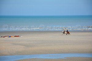 Plage de St Aubin sur Mer - Saint-Aubin-sur-Mer