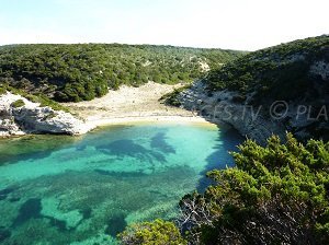 Plage de Fazzio