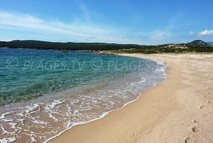 Spiaggia di Campo Mezzano - Bonifacio