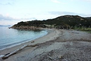 Plage de Tamaris