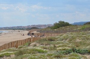 Nudist Beach - Fleury d'Aude