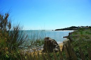 Plage de la Pelle à Porteau - Saint-Gilles-Croix-de-Vie